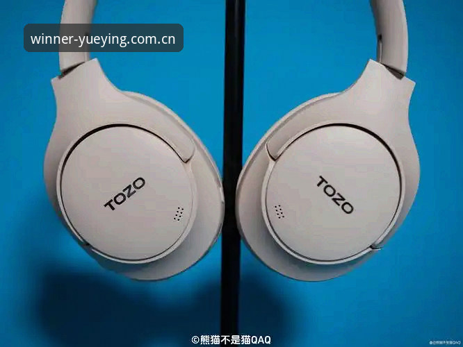 悦盈体育稳当品牌首页深度评测：从APP下载到多端适配，这些坑你别踩